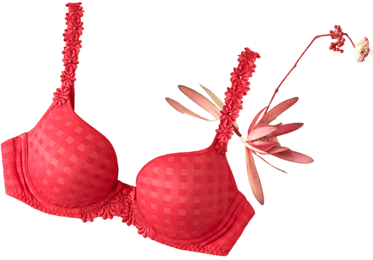 koolstof Bijwonen Nuttig Home | Uw lingeriespeciaalzaak! | kwaliteitsmerken lingerie | Lindessa Best